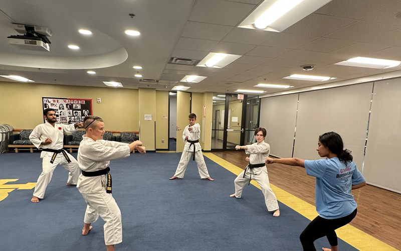 people practicing martial arts